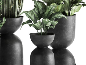 houseplants in a pot for the interior 877 Modelo 3D