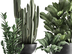 houseplants in a pot for the interior 877 Modelo 3D