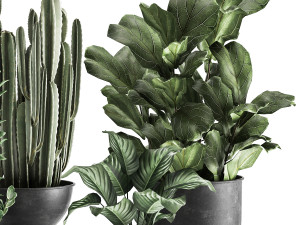 houseplants in a pot for the interior 877 Modelo 3D