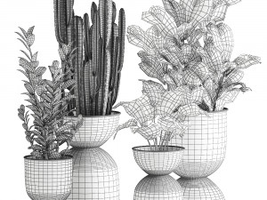 houseplants in a pot for the interior 877 Modelo 3D