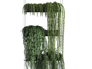 vertical gardening 65 Modelo 3D