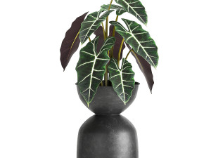 houseplants in a pot for the interior 879 3D Model