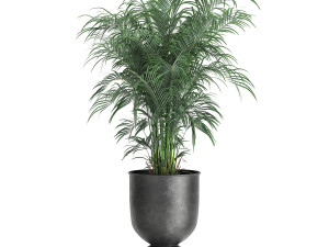 houseplants in a pot for the interior 879 3D Model