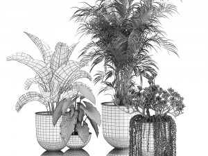 houseplants in a pot for the interior 879 3D Model