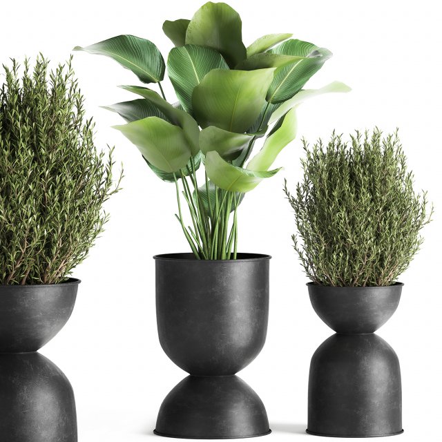 houseplants in a pot for the interior 882 3D मॉडल .c4d .max .obj .3ds .fbx .stl .blend 