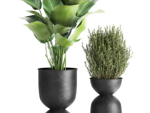 houseplants in a pot for the interior 882 3D Model