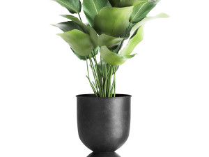houseplants in a pot for the interior 882 3D मॉडल