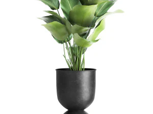 houseplants in a pot for the interior 882 3D Model