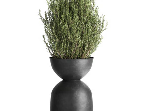 houseplants in a pot for the interior 882 3D Model