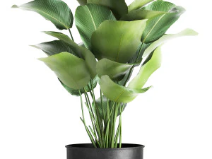 houseplants in a pot for the interior 882 3D Model