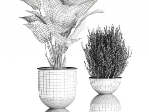 houseplants in a pot for the interior 882 3D मॉडल