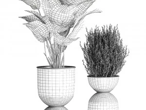 houseplants in a pot for the interior 882 3D Model