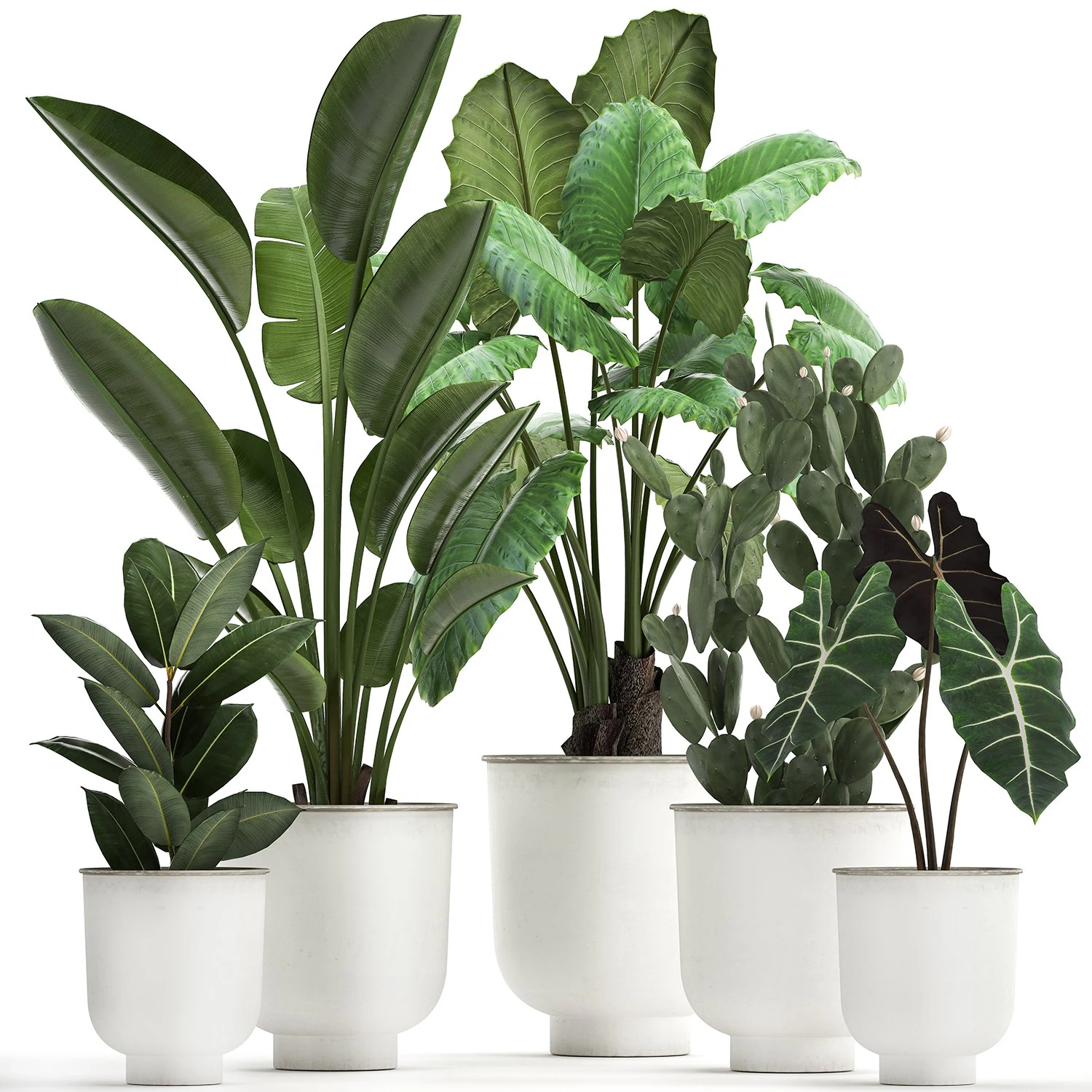 cole&ccedil;&atilde;o de plantas decorativas em vasos brancos 886 Modelo 3D .c4d .max .obj .3ds .fbx .stl .blend 