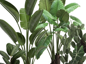collection of decorative plants in white flowerpots 886 Modelo 3D