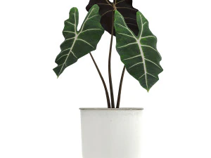 cole&ccedil;&atilde;o de plantas decorativas em vasos brancos 886 Modelo 3D