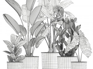 collection of decorative plants in white flowerpots 886 Modelo 3D