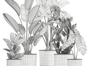 cole&ccedil;&atilde;o de plantas decorativas em vasos brancos 886 Modelo 3D