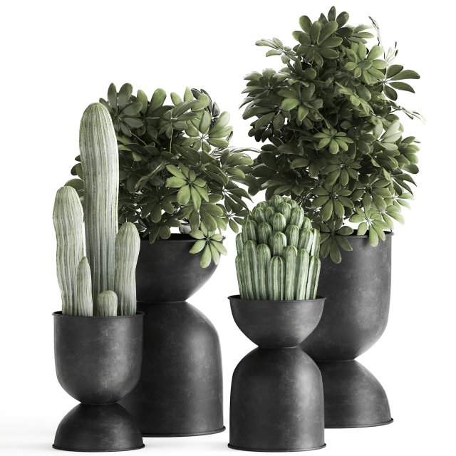 houseplants in a pot for the interior 888 Model 3D .c4d .max .obj .3ds .fbx .stl .blend 
