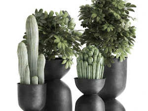 houseplants in a pot for the interior 888 3D Model