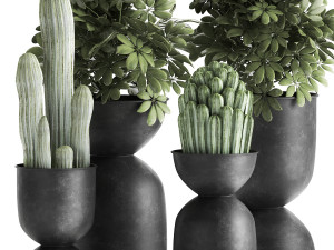 houseplants in a pot for the interior 888 Model 3D