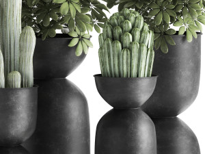 houseplants in a pot for the interior 888 Model 3D