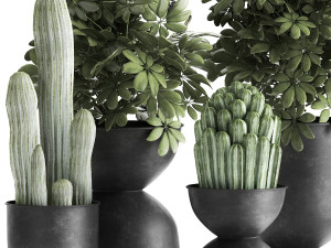 houseplants in a pot for the interior 888 Model 3D