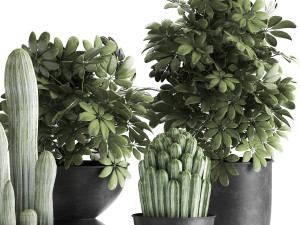 houseplants in a pot for the interior 888 Model 3D