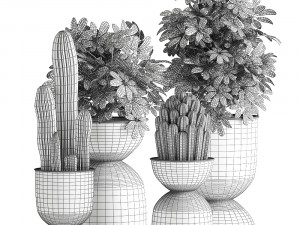 houseplants in a pot for the interior 888 Model 3D