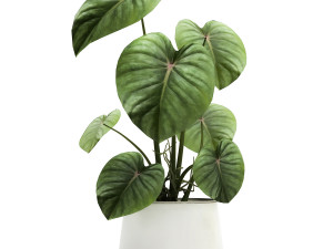 houseplants in a pot for the interior 890 3Dモデル