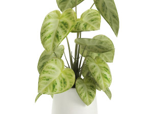 houseplants in a pot for the interior 890 3Dモデル