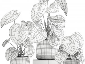 houseplants in a pot for the interior 890 3Dモデル