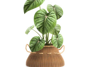 houseplants in a pot for the interior 891 3D Model