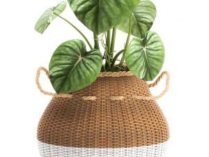houseplants in a pot for the interior 891 3D Model