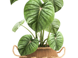 houseplants in a pot for the interior 891 3D Модель