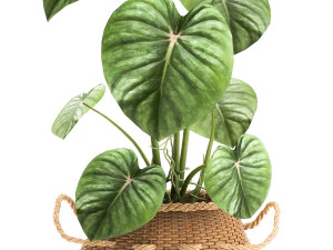 houseplants in a pot for the interior 891 3D Model