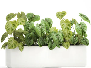houseplants in a pot for the interior 892 3D Model