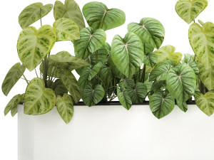 houseplants in a pot for the interior 892 3D Model