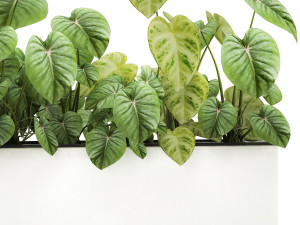 houseplants in a pot for the interior 892 3D Model