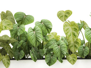 houseplants in a pot for the interior 892 3D Model