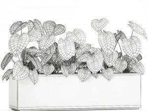 houseplants in a pot for the interior 892 3D Model