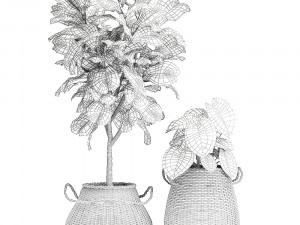 houseplants in a basket rattan for the interior 893 3Dモデル