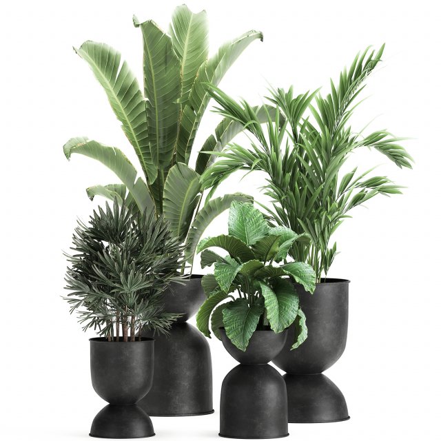 houseplants in a pot for the interior 897 3Dモデル .c4d .max .obj .3ds .fbx .stl .blend 