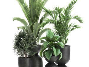 houseplants in a pot for the interior 897 3D 모델