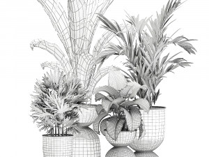 houseplants in a pot for the interior 897 3Dモデル