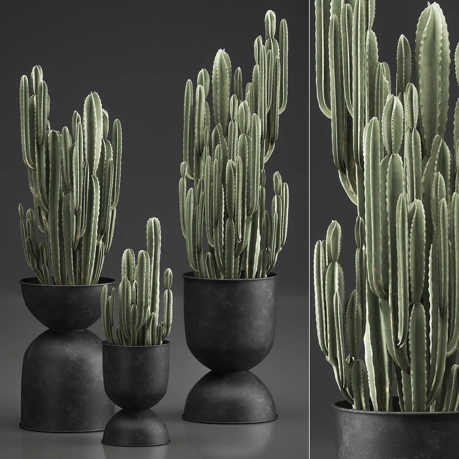 cactus in a flowerpot for the interior 898 3D Model .c4d .max .obj .3ds .fbx .stl .blend