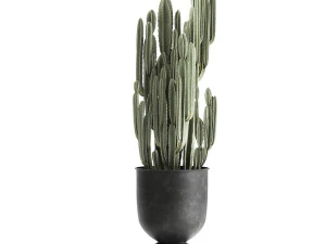 cactus in a flowerpot for the interior 898 3D Model