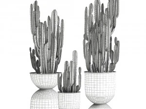 cactus in a flowerpot for the interior 898 3D Model