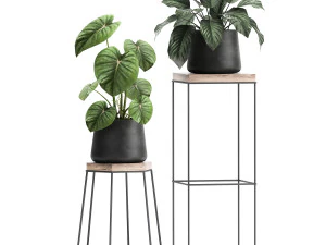 houseplants in a pot for the interior 899 3D Model