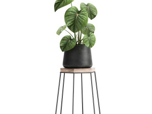 houseplants in a pot for the interior 899 3D Model