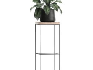 houseplants in a pot for the interior 899 Modelo 3D